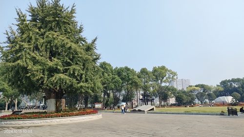 微信图片_20241013141644.jpg