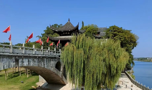 自然之变：太阳与万象