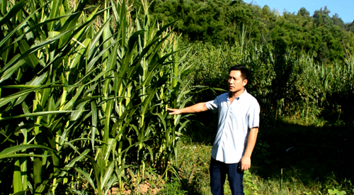 张应洪 一村一品 抒写乡村时代新篇章