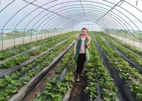 庞智群创业先进事迹将拍摄成微电影走向银幕