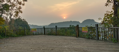 南充高坪区“黄精”产业带头人张应洪 推动经济高质量发展