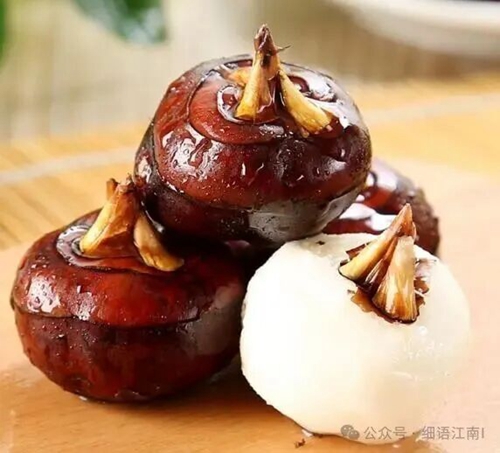 散文丨蒋南：一枚荸荠里的童年