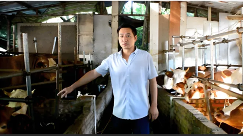 南充乡村创业题材微电影《白山村的男人》