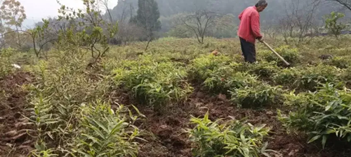 微信图片_20260317090849.png