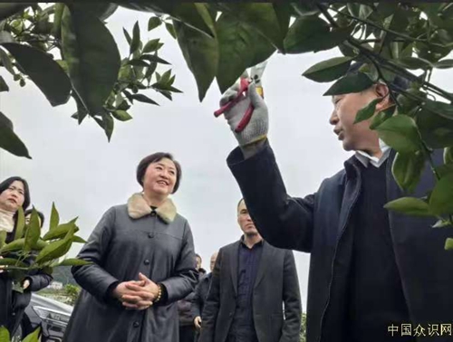微信图片_20260320095916.jpg