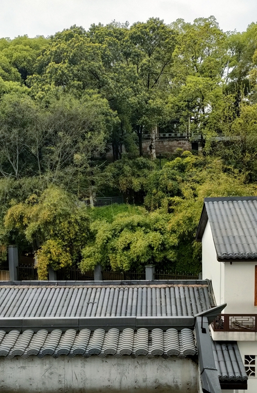 出门是夫妻关门是兄妹